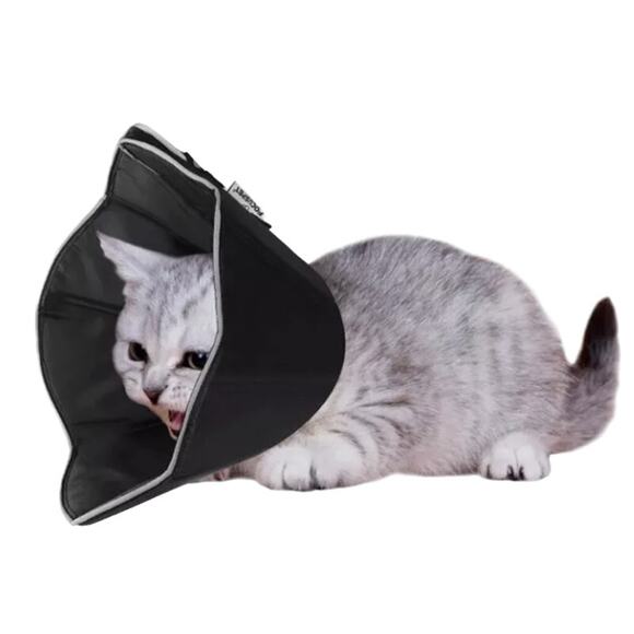 Copied - Focuspet Soft Dog Cone Procedure/Recovery Collar, Size S - Picture 1 of 2